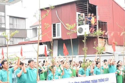 Nông dân Phù Đổng hưởng ứng trồng cây xanh, bảo vệ môi trường
