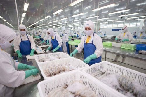 KBSV nhận định, tiềm năng tăng giá của cổ phiếu FMC có thể đạt 47%