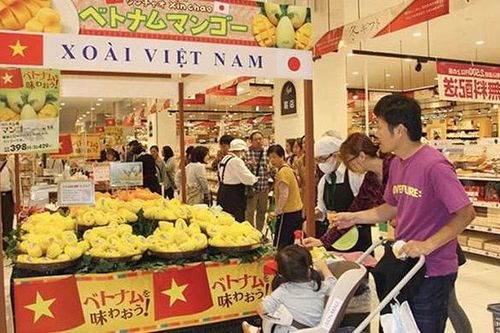 Năm 2030: Người Việt ở đâu, mạng lưới phân phối hàng Việt có ở đó