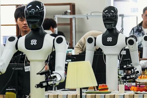 Quay video việc nhà đào tạo robot giúp việc tương lai