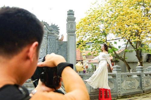 Người Hà Nội đi 'săn' ảnh hoa bún chỉ nở một lần trong năm