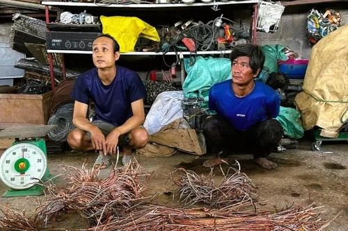 Bắt 2 đối tượng cắt trộm dây điện cao tốc Bến Lức-Long Thành