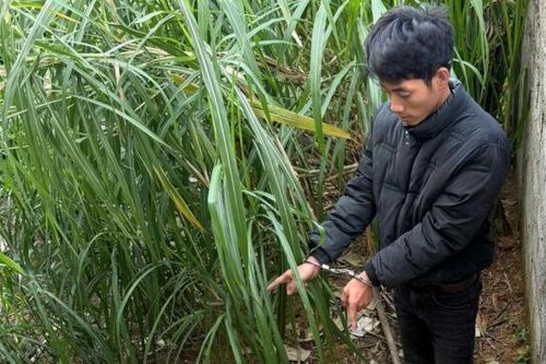Không chịu hoàn lương