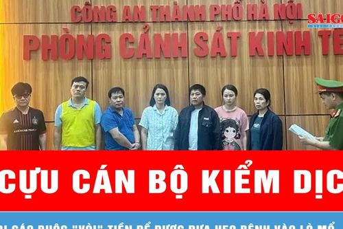 Cựu cán bộ kiểm dịch bị cáo buộc 'vòi' tiền để được đưa heo bệnh vào lò mổ