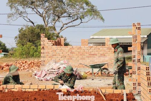 Hối hả dựng 'cột mốc sống' nơi vùng biên Lâm Đồng