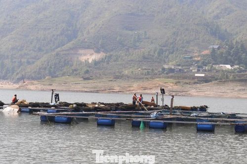 Giải cứu hồ Séo Mý Tỷ ở Lào Cai