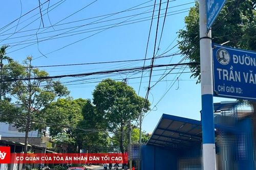 Bị xử phạt vì tự ý chặt cây xanh đô thị