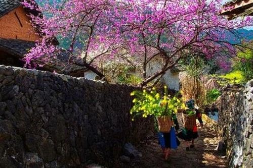 Ta như Nguyên đán của nhau
