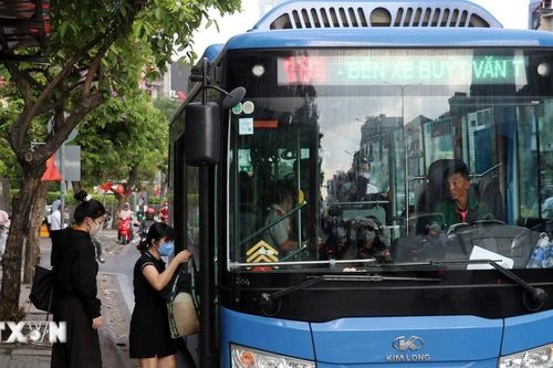 TP Hồ Chí Minh dự kiến miễn vé cho người dân trên 135 tuyến xe buýt