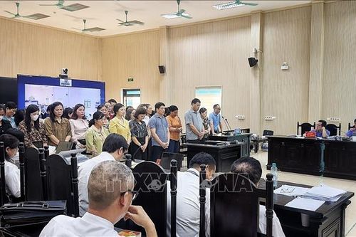 Xét xử vụ án đưa, nhận hối lộ trong cung cấp thực phẩm cho nhiều trường mầm non