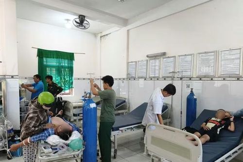 Ba người bị ong đốt khi đi tảo mộ, phải cấp cứu khẩn