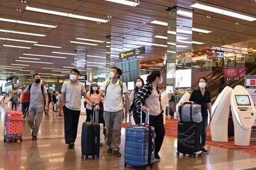 Nhiều đường bay gián đoạn, khách quốc tế vẫn đổ về Việt Nam