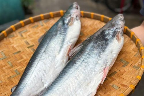 Loại cá đặc sản vùng nước lợ ở miền Tây, càng làm khô càng đắt giá