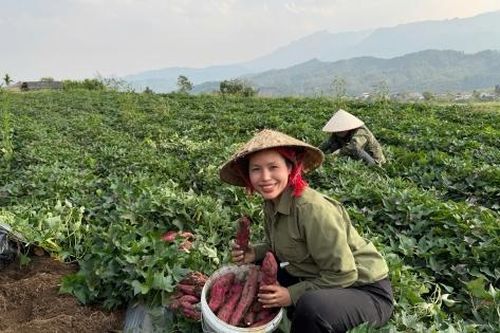 Cô gái Hà Nội kể câu chuyện sản phẩm của bản làng qua TikTok Shop