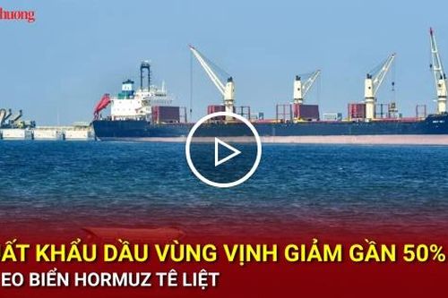 Xuất khẩu dầu Vùng Vịnh giảm gần 50%