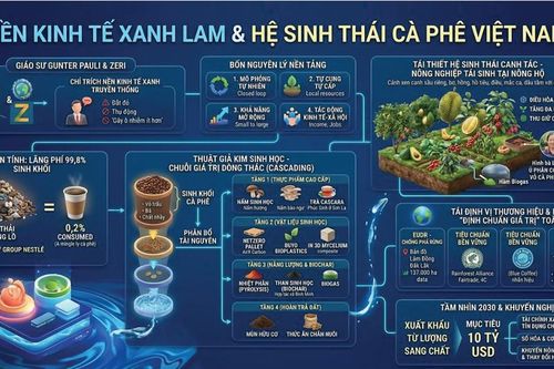 Hình thành hệ sinh thái cà phê xanh lam ở Việt Nam