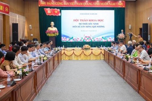 Triển khai các giải pháp phát triển bền vững gắn với tiềm năng, thế mạnh của tỉnh