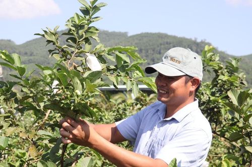 Chuyển đổi cây trồng thích ứng biến đổi khí hậu