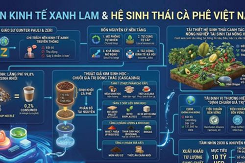 Ngành cà phê Việt Nam chuyển mình sang hệ sinh thái xanh lam, xuất khẩu đạt 8,92 tỷ USD