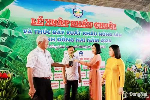 Xuất khẩu chuối tăng trưởng ấn tượng