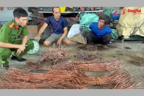 Bắt đối tượng trộm cắp gần 1 ngàn mét dây điện chiếu sáng trên cao tốc Bến Lức - Long Thành