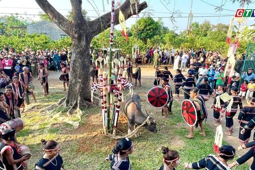 'Lễ mừng chiến thắng' của người Jrai làng Bẹk