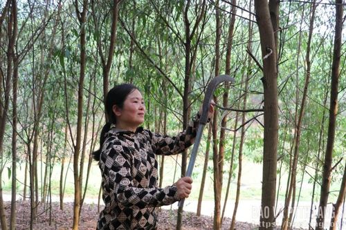 Phụ nữ Hữu Lũng vững bước làm kinh tế