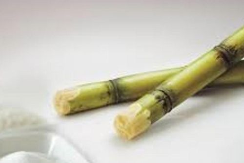 Ấn Độ cân nhắc tăng tỷ lệ pha trộn ethanol trong xăng để đảm bảo an ninh năng lượng