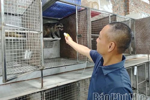 Chú trọng công tác bảo tồn thiên nhiên