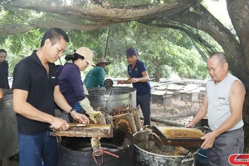 Mật ngọt Sông Mã