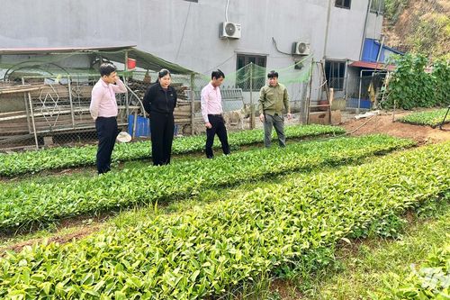 Nguồn vốn ưu đãi tạo sinh kế bền vững