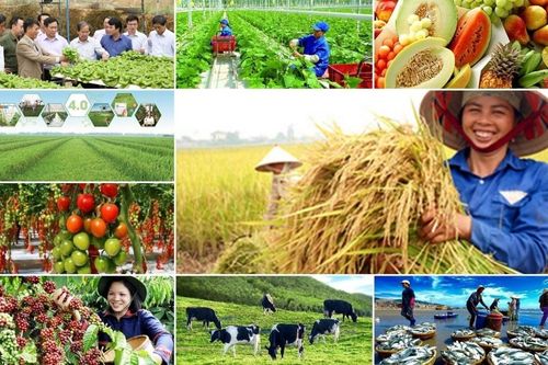Phó Thủ tướng Nguyễn Chí Dũng gửi thư chúc mừng 80 năm Ngày Hợp tác xã Việt Nam