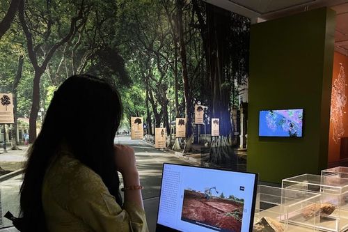 Gen Z đến bảo tàng học lịch sử