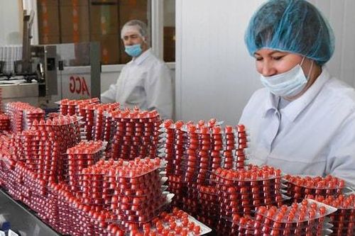 'Cú hích' nội địa hóa: Ngành dược Nga bứt phá mạnh mẽ bất chấp áp lực trừng phạt