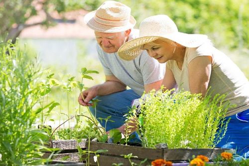 3 hành vi quyết định tuổi thọ: Tập thể dục đứng thứ ba, ngủ đủ đứng thứ hai, điều đầu tiên nhiều người không làm được