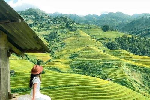Y học cổ truyền 'bắt tay' du lịch y tế: Từ cội nguồn lịch sử đến hướng đi tương lai