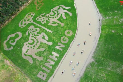 Bức tranh 'song mã chầu báo công' giữa cánh đồng đẹp bậc nhất Việt Nam