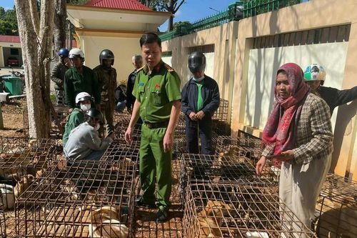 Triệt phá điểm thu gom, giết mổ chó trộm quy mô lớn ở Đắk Lắk