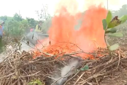 Cảnh báo nguy cơ cao xảy ra cháy rừng trong tháng 4/2026