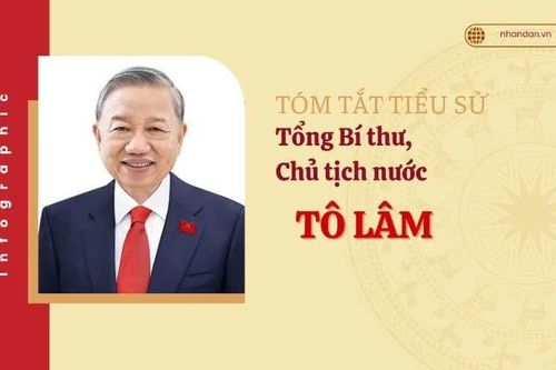 [Infographic] Tóm tắt tiểu sử Tổng Bí thư, Chủ tịch nước Tô Lâm