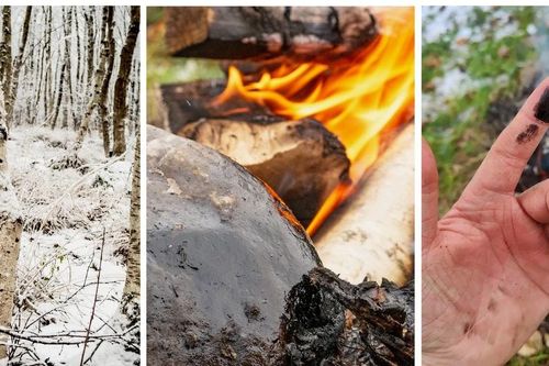 Người Neanderthal đi trước thời đại, chế tạo dược phẩm từ rất sớm