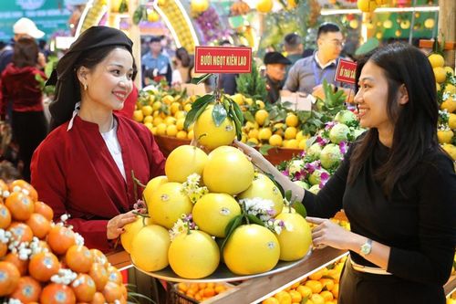 Bắc Ninh: Chi hơn 14 tỷ đồng đẩy mạnh các hoạt động xúc tiến thương mại năm 2026