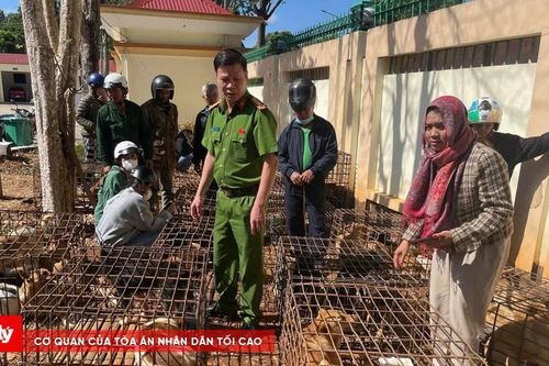 Bắt 2 đối tượng trộm, tiêu thụ 70 con chó ở Đắk Lắk