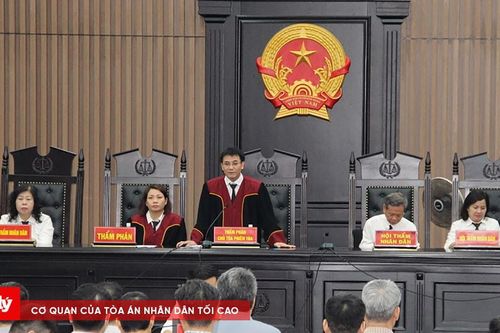Chi tiết 23 mức án trong 'đại án' đấu thầu