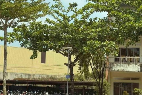 Nữ giáo viên bị phát tán hình ảnh nhạy cảm, hiệu trưởng nhà trường lên tiếng