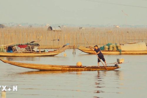 Thời điểm 'vàng' ngắm bình minh trên phá Tam Giang