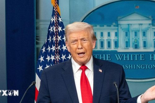 Tổng thống Mỹ Trump chỉ trích NATO 'hổ giấy,' nhắc lại yêu sách Greenland