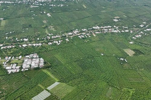 Cù lao Giềng được công nhận là xã đảo nước ngọt đầu tiên của An Giang