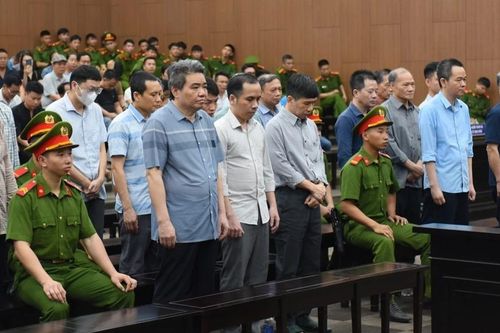 Nhận hối lộ 200.000 USD, cựu thứ trưởng Bộ Nông nghiệp lĩnh 4 năm tù