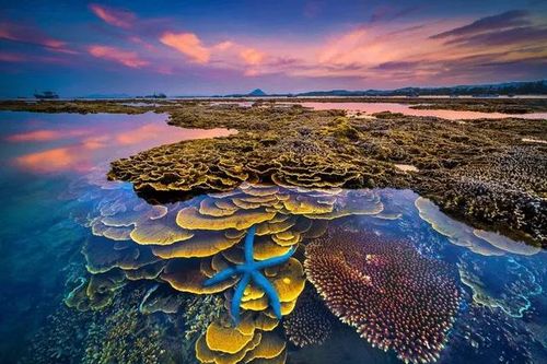 Công viên địa chất Phú Yên trình UNESCO công nhận là công viên địa chất toàn cầu